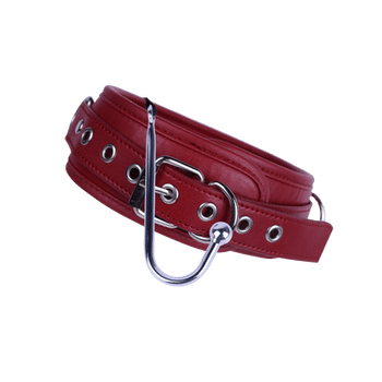 BDSM Anal Hook & Restraint Set