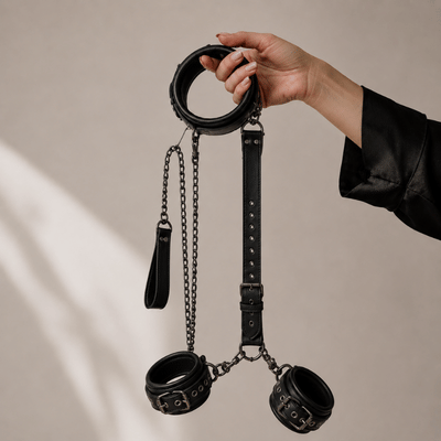 Neck-to-Wrist BDSM Restraints Kit