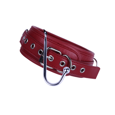 Reese - BDSM Anal Hook & Restraint Set with Collar and Leash